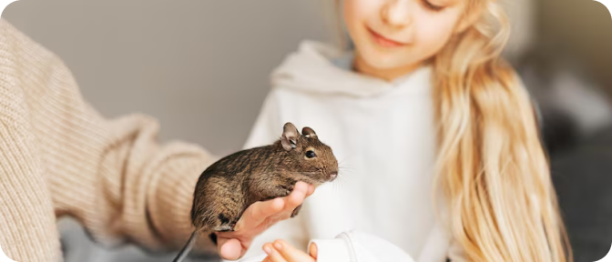 Mouse