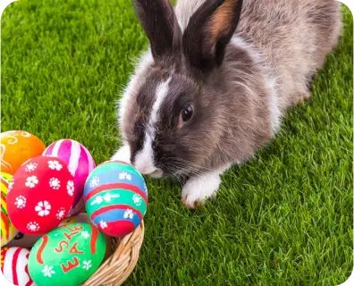Animal Easter Story Show