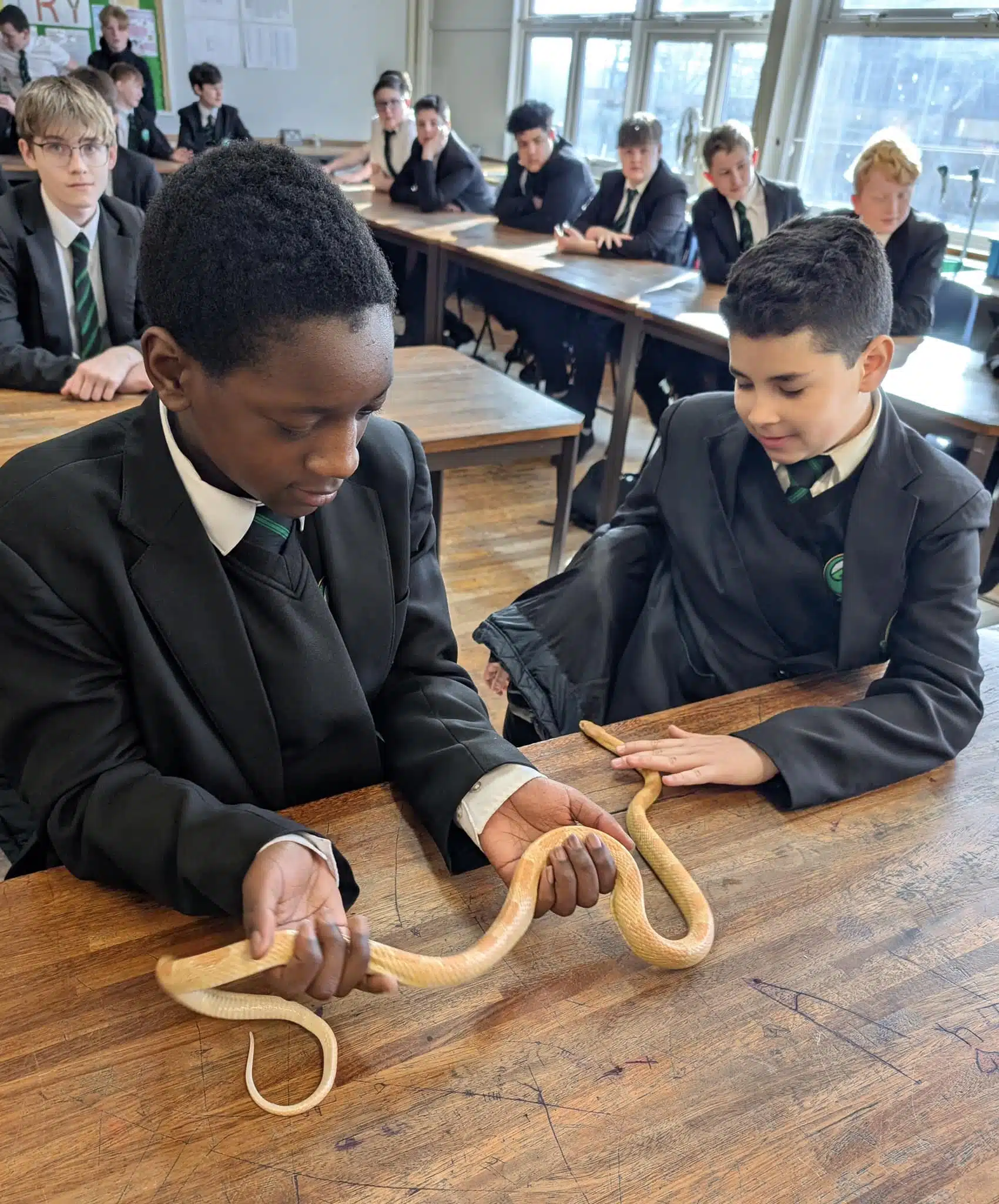 Secondary School Animal Workshop