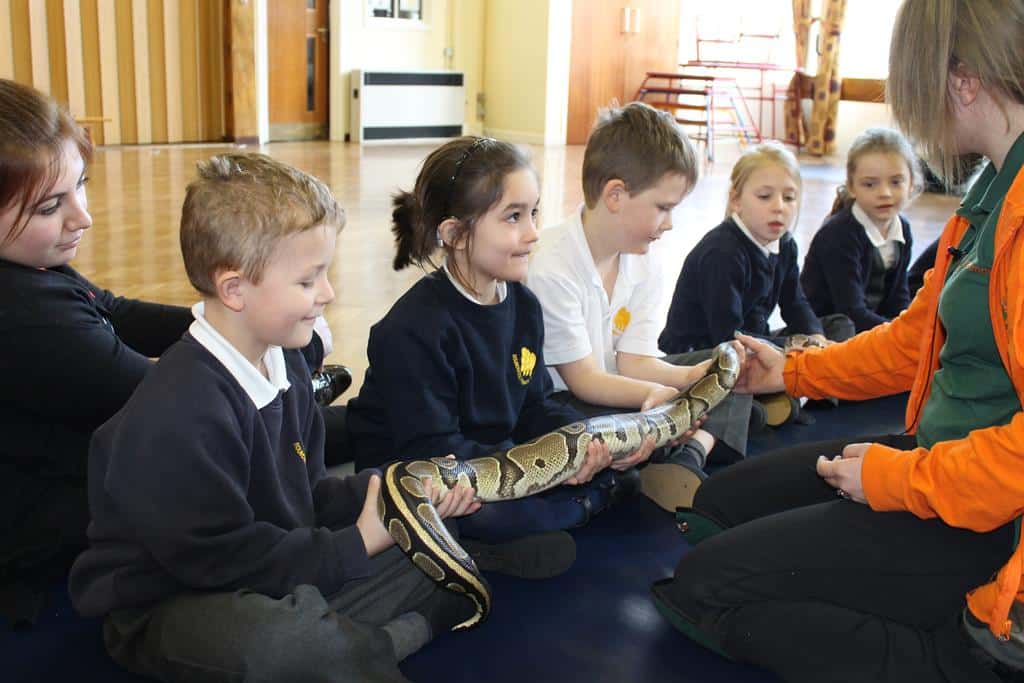 Best Animal Experiences Near Me