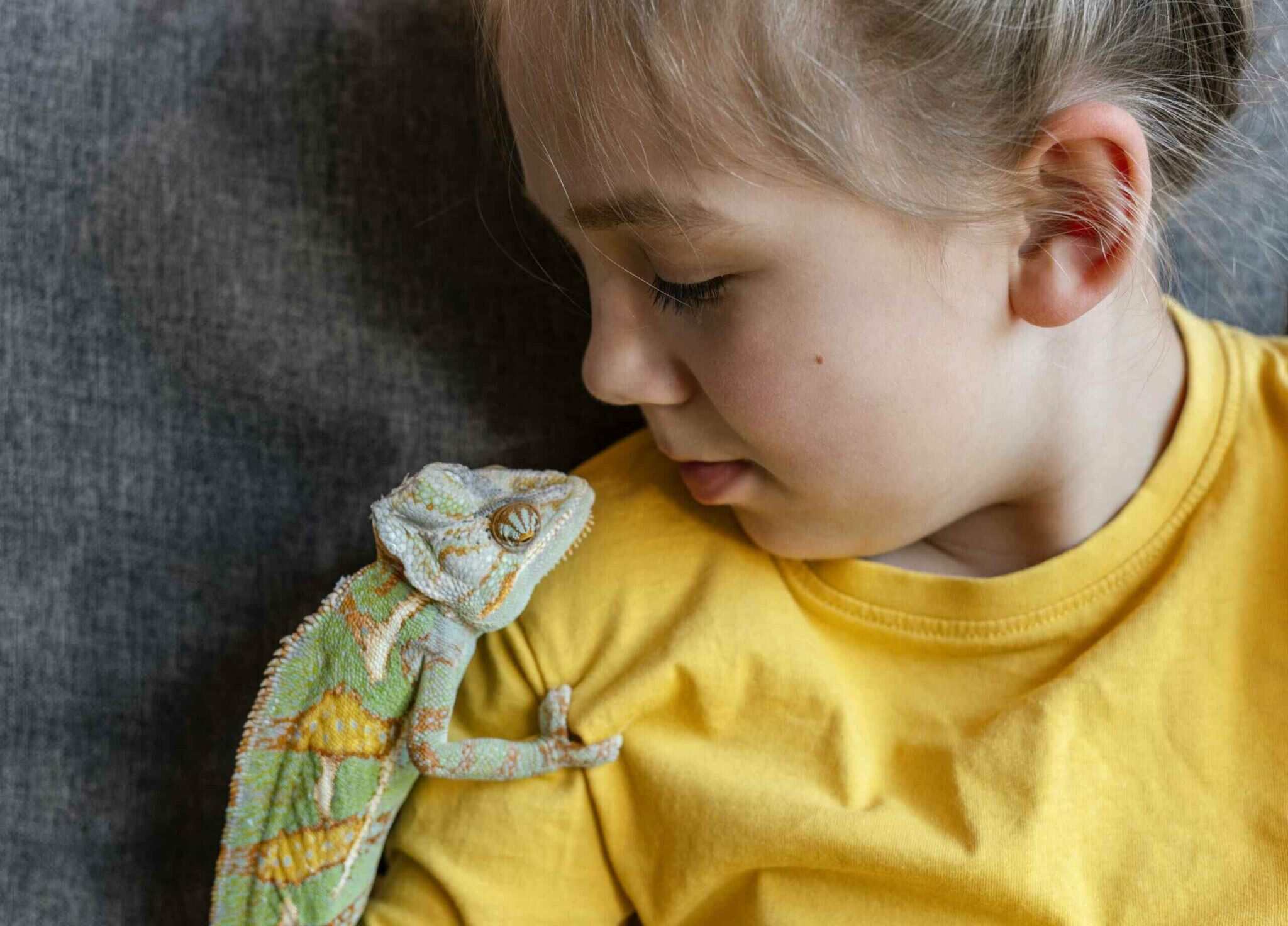Edinburgh Zoo Animal Experiences