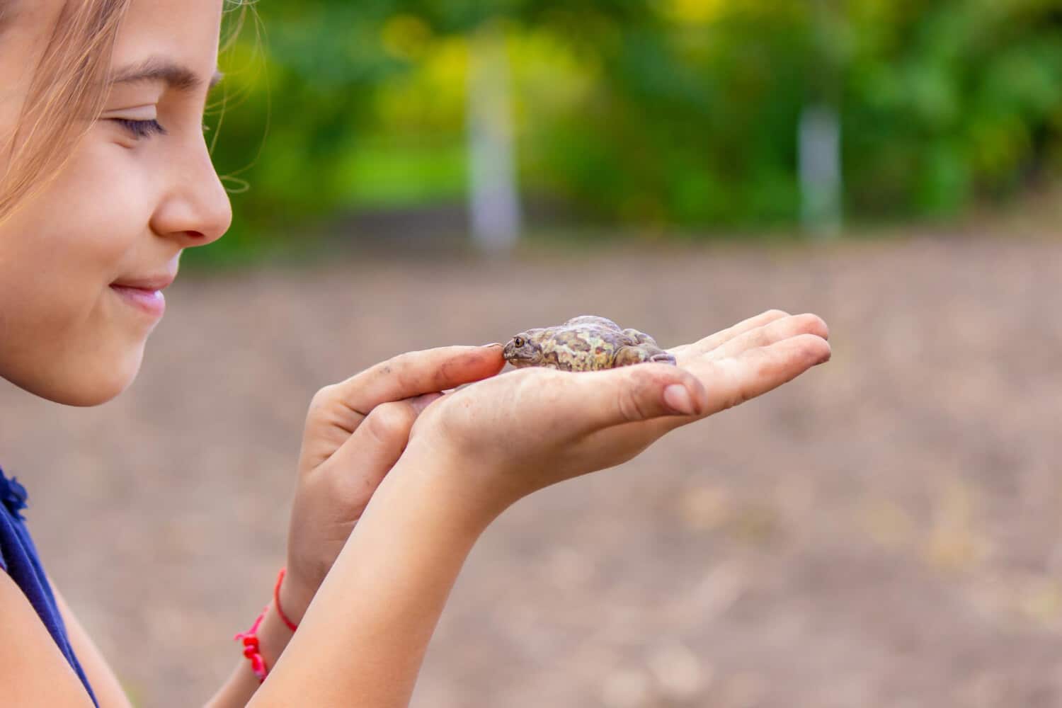 Mobile Petting Zoo Merseyside