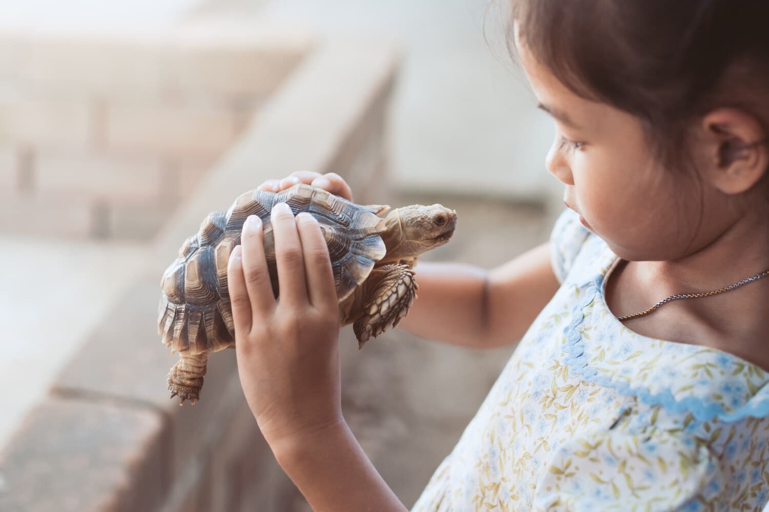 Animal Experiences Hampshire