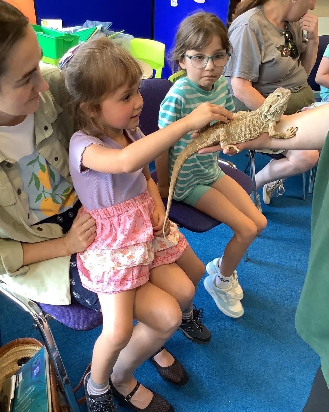 Mobile petting zoo Manchester