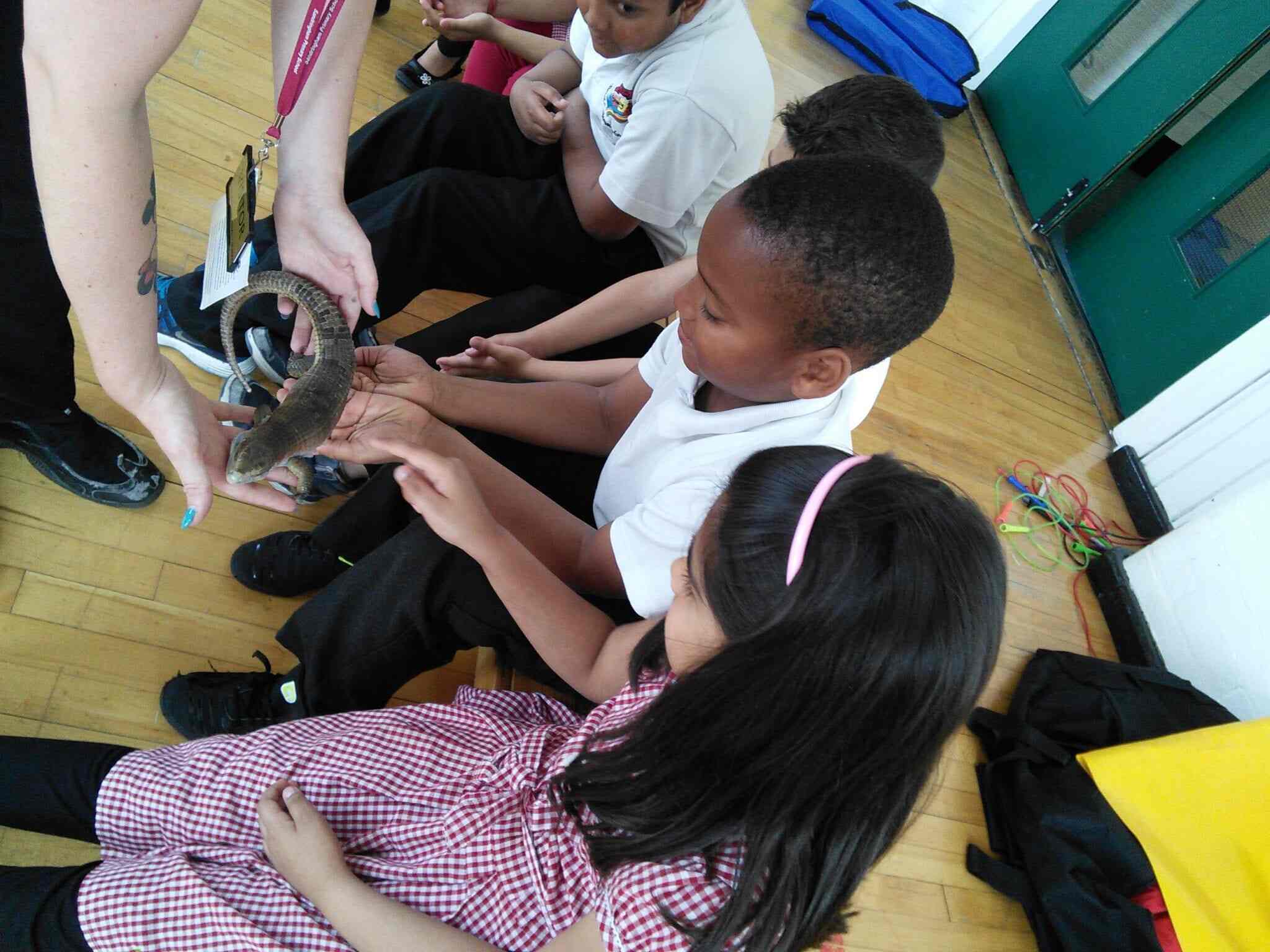 Animal School Visits Birmingham