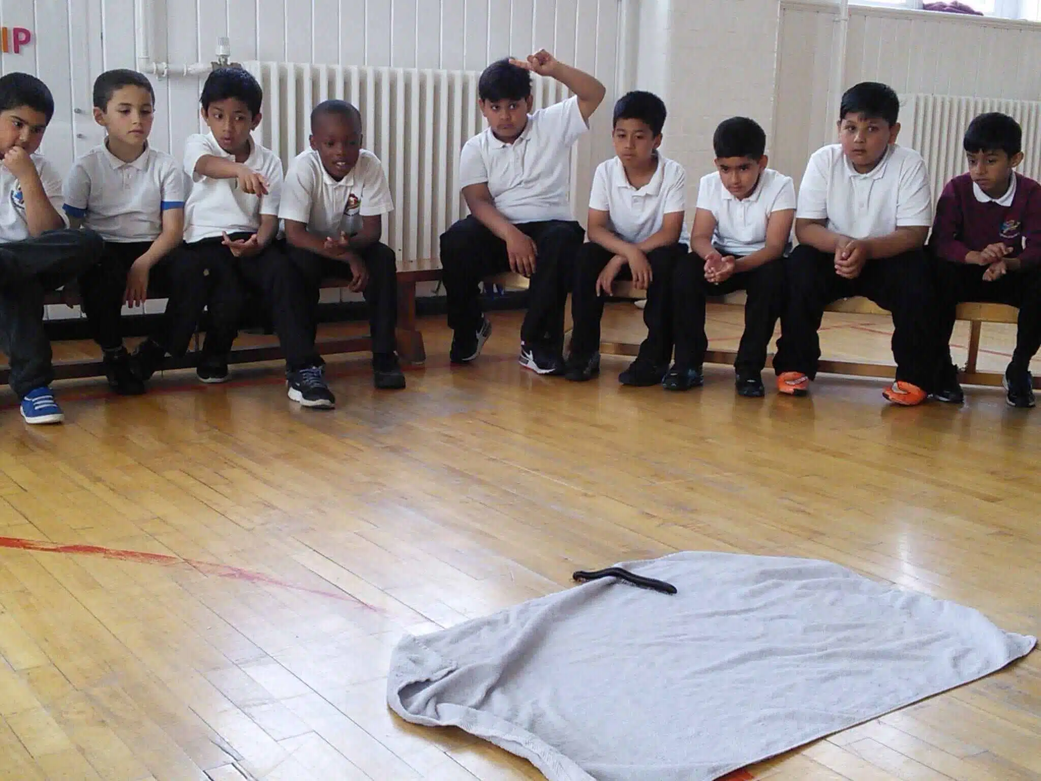 Animal School Visits Leeds