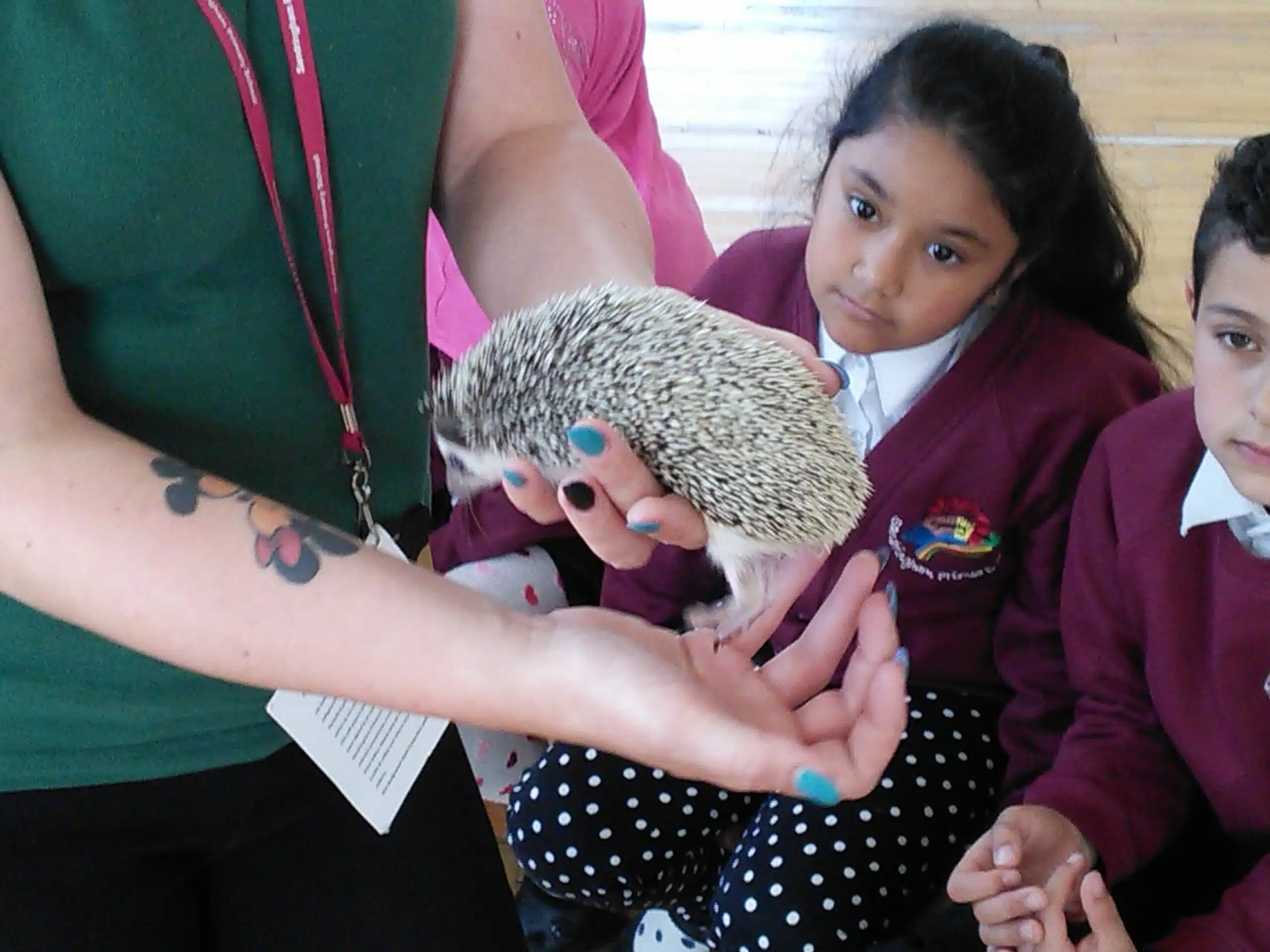 Animal Encounters for Parties