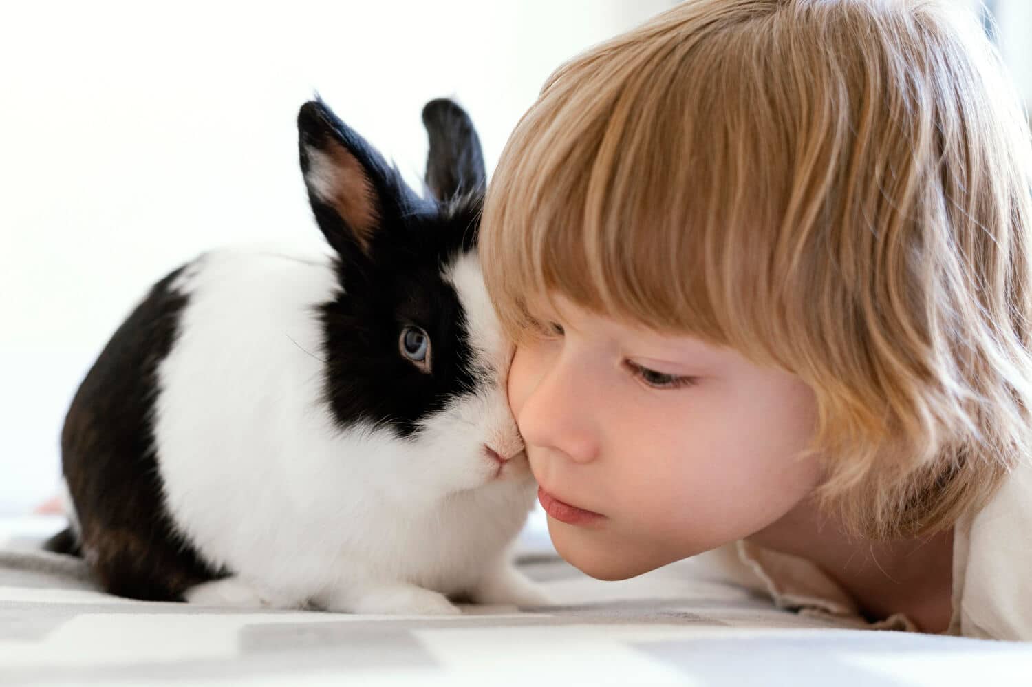 Experience with Animal Encounters