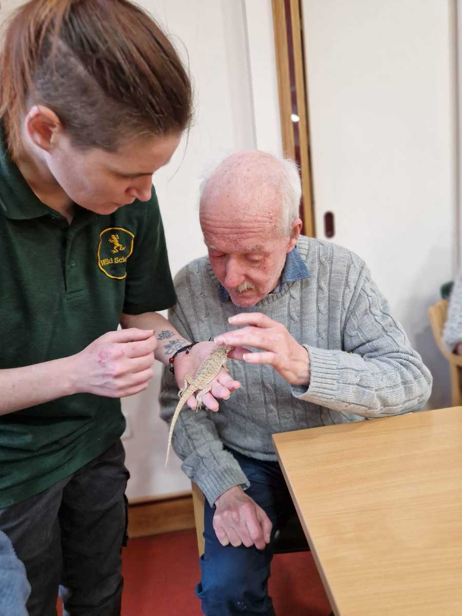 Best Animal-Assisted Therapy Services in UK