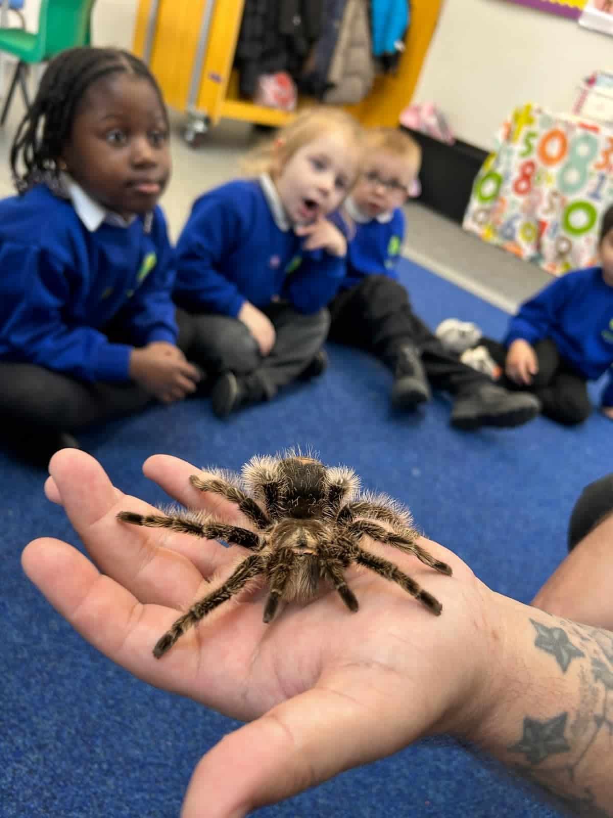 Animal