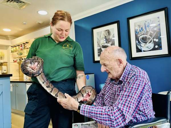Animal Therapy in Care Home Near Me