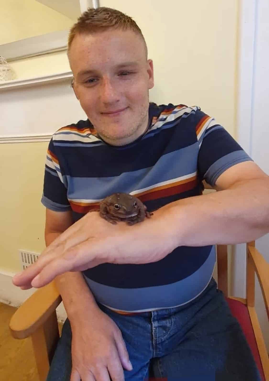 Animal