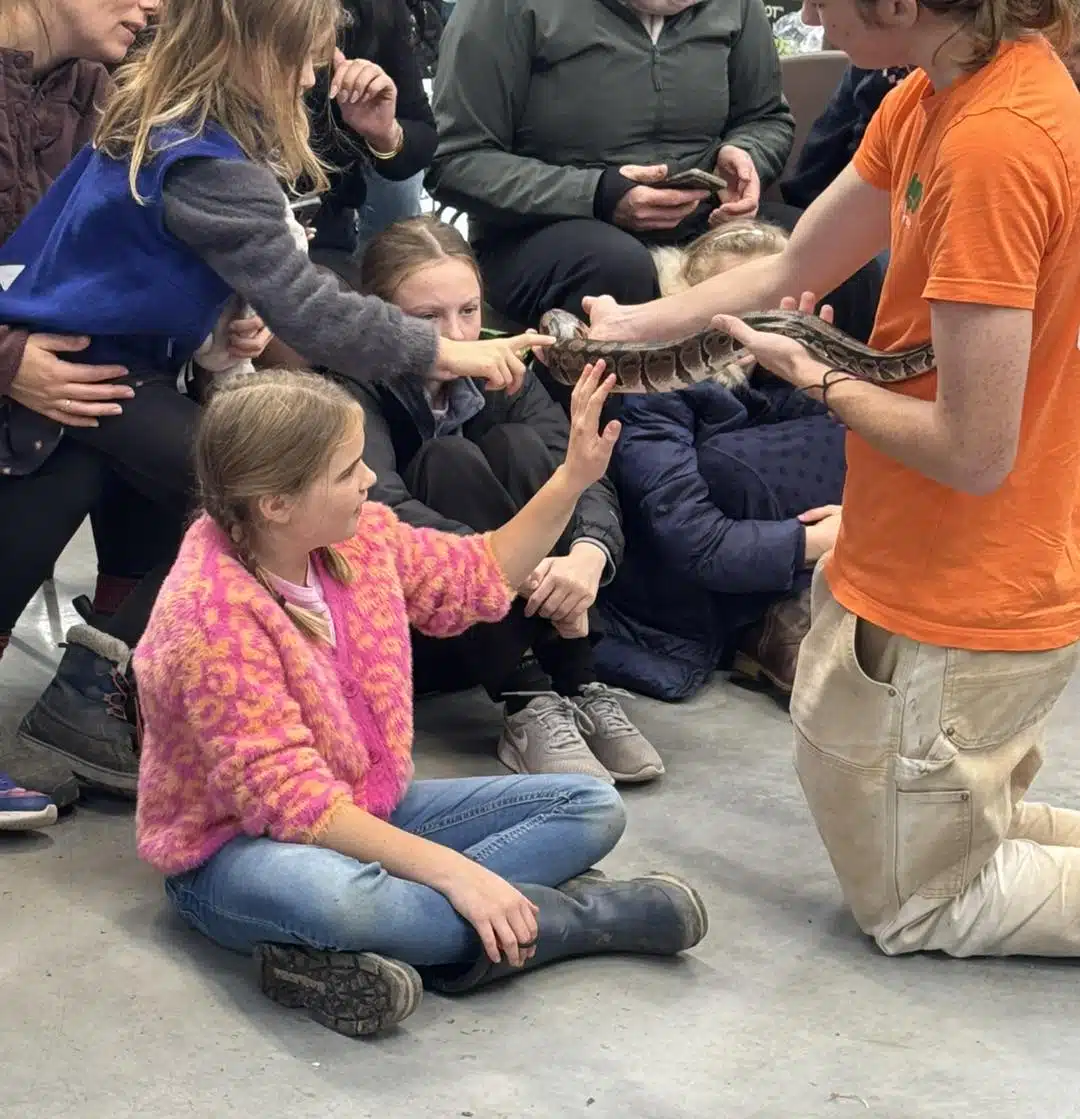 Mobile Petting Zoo Lancashire