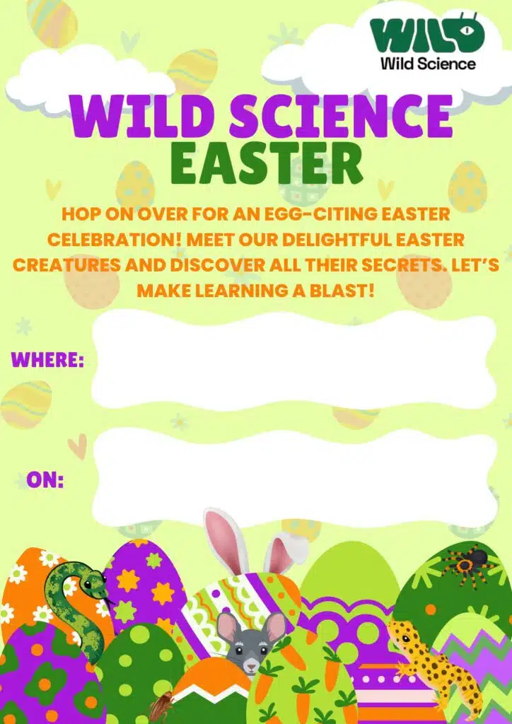Easter Animal Event Poster