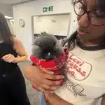 A Brilliant Corporate Therapy Session