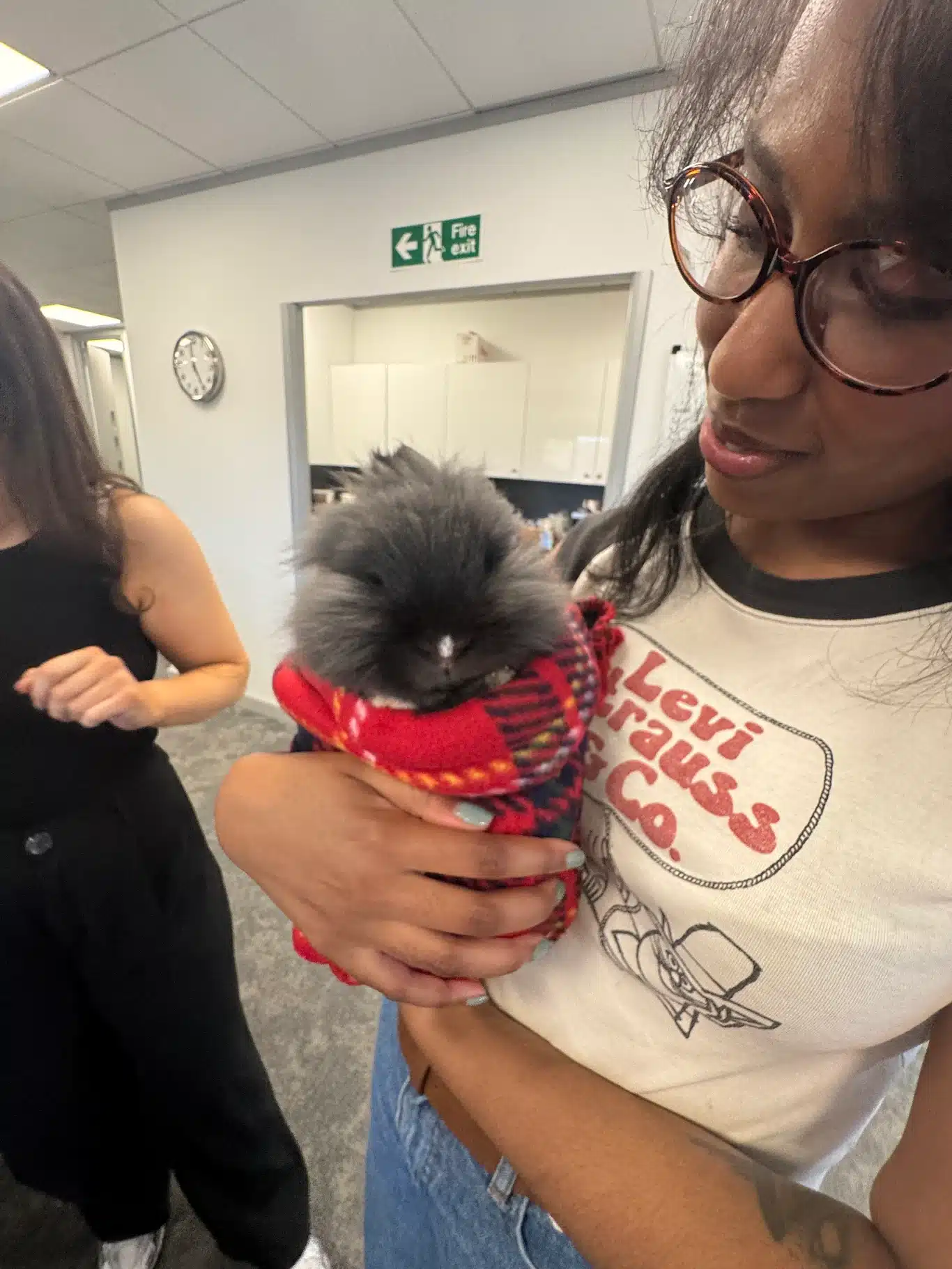 A Brilliant Corporate Therapy Session