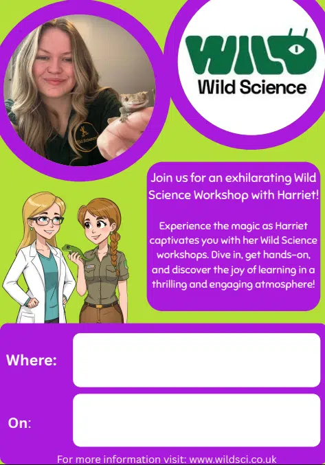 Workshops with Harriet