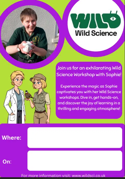 Workshops with Sophie