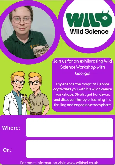 Workshops with George