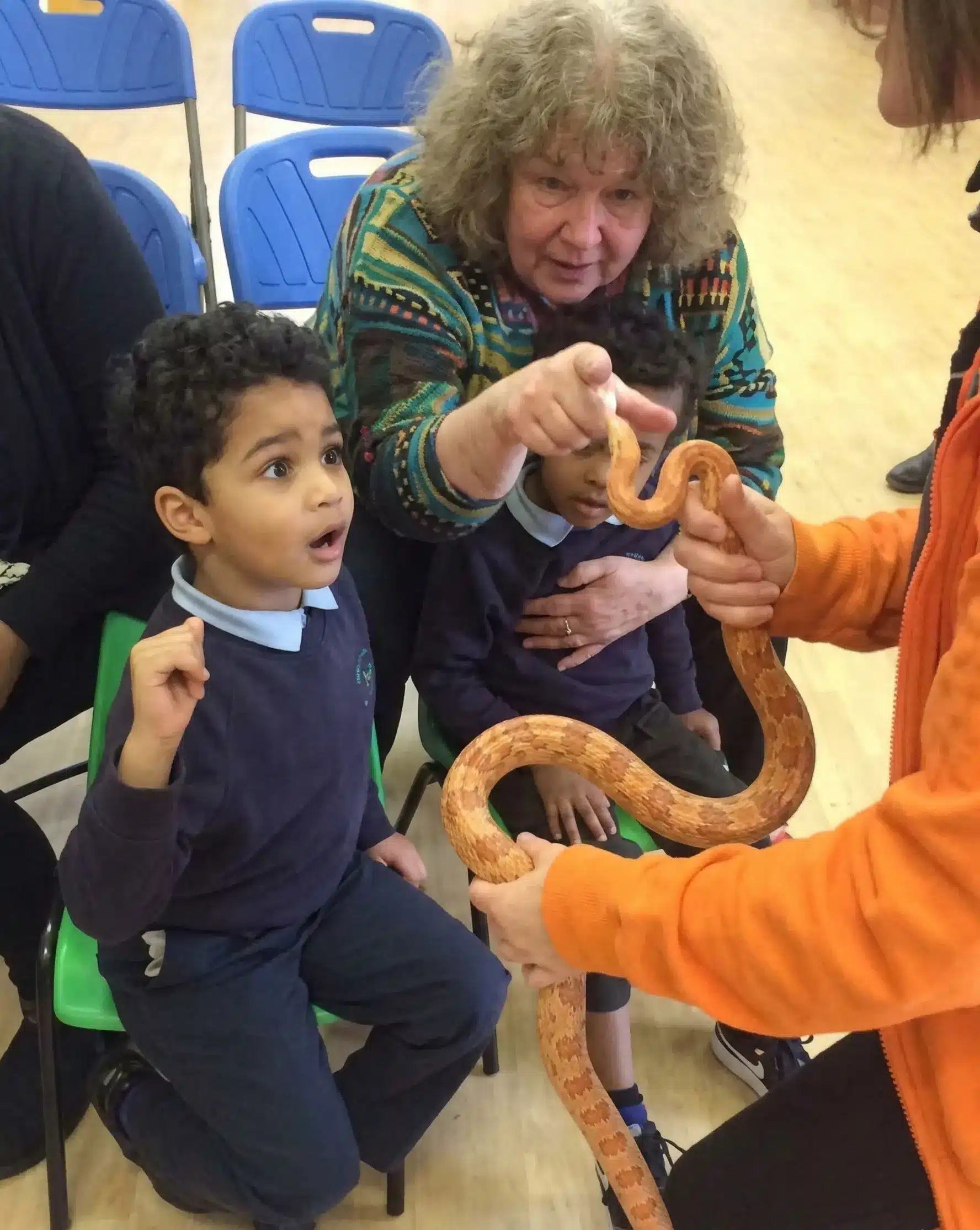 How Animal and Science Workshops Support Neurodiverse Learners