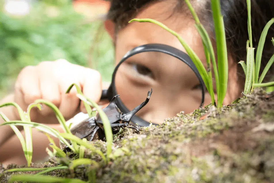 Seasonal Learning: Bringing the Curriculum to Life Through Spring and Summer with Wild Science