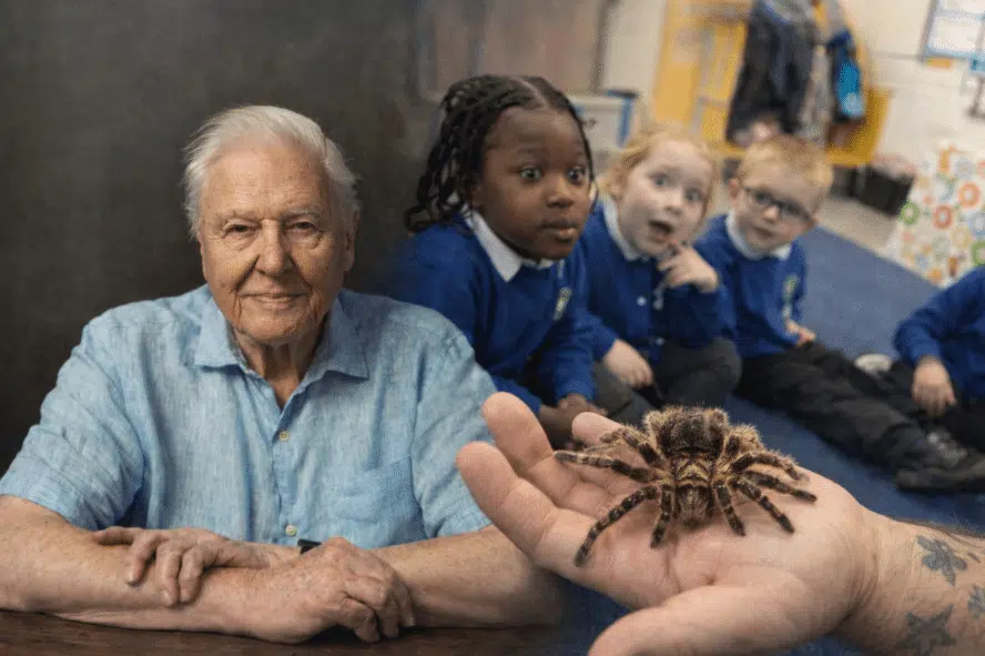 Animal Encounters in the UK: Inspired by David Attenborough’s Wildlife Legacy